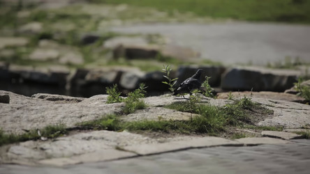 Similar image 22482913