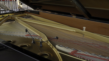 Similar image 22482927