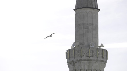 Similar image 22482928