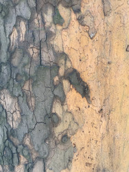 Similar image 22482942