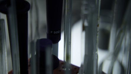 Similar image 22483002