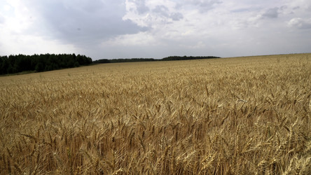 Similar image 22483237