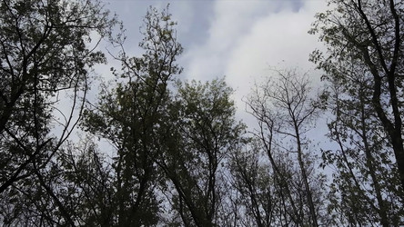 Similar image 22480968