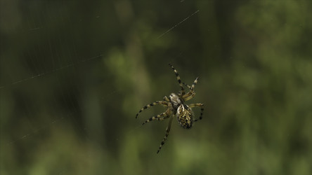 Similar image 22481012