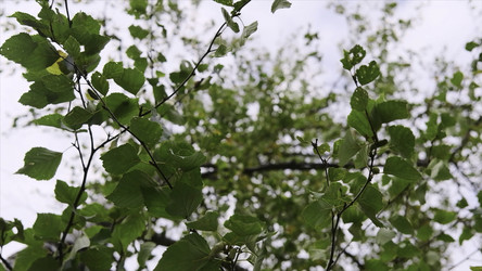 Similar image 22481088