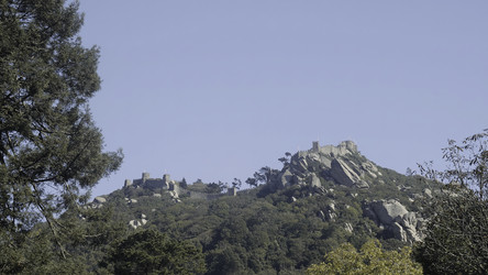 Similar image 22481104