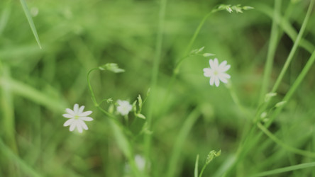 Similar image 22481763