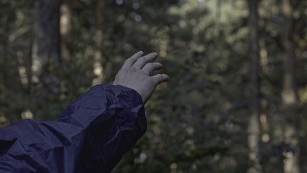 Similar image 22482512