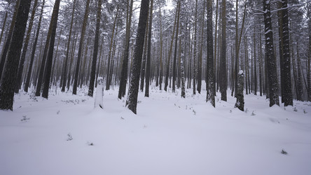 Similar image 22483034