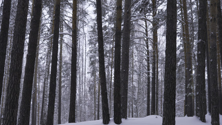 Similar image 22480908