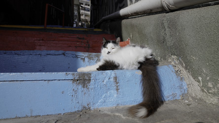 Similar image 22481253