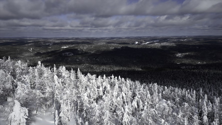 Similar image 22481764