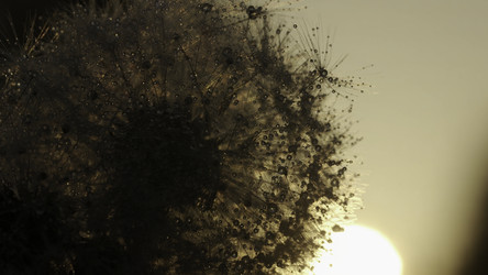 Similar image 22481808