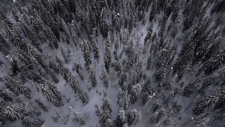 Similar image 22482020