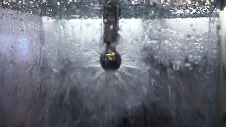 Similar image 22482033