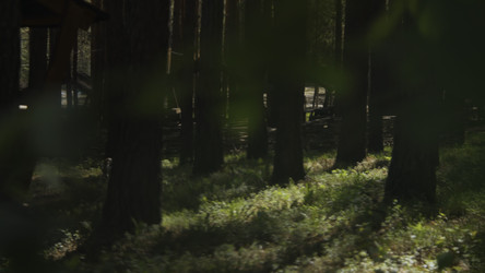 Similar image 22482676