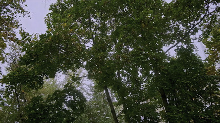 Similar image 22482735