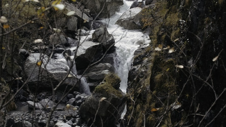 Similar image 22482762