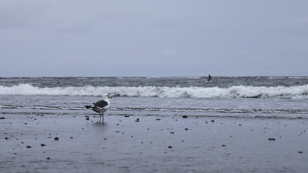 Similar image 22482780