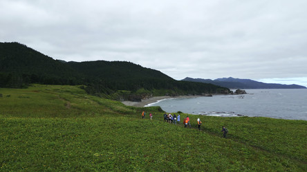 Similar image 22482868