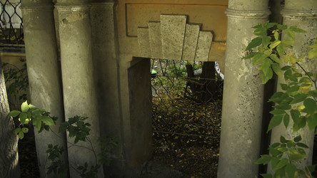 Similar image 22482961