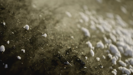 Similar image 22483167