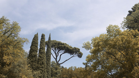 Similar image 22483269