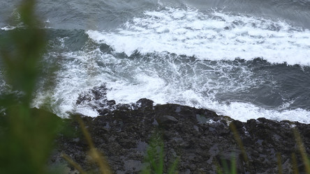 Similar image 22483434