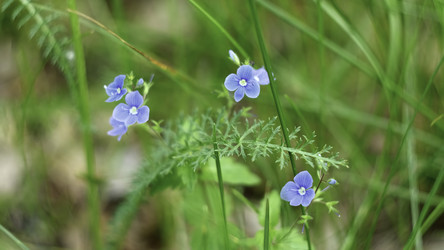 Similar image 22480954