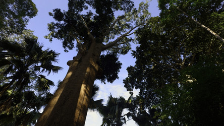 Similar image 22481001