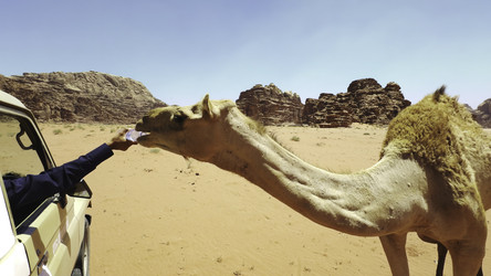 Similar image 22481148