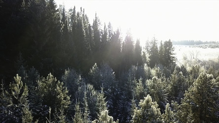 Similar image 22481165