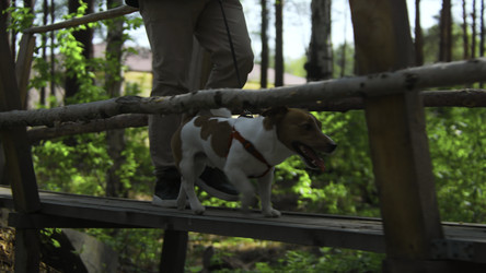 Similar image 22481176