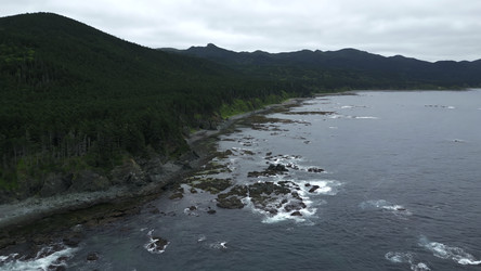 Similar image 22481237