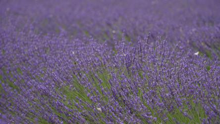 Similar image 22481404