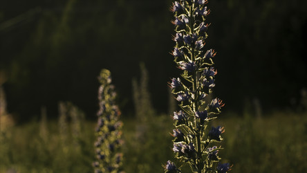 Similar image 22481462