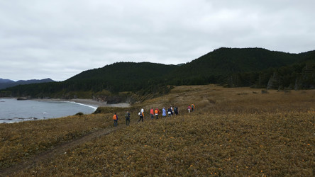 Similar image 22481464