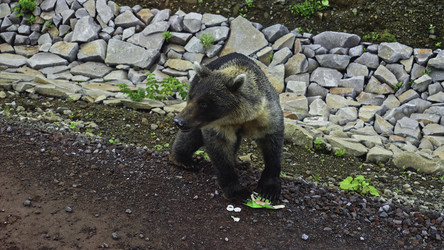 Similar image 22481495