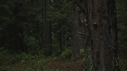 Similar image 22482034