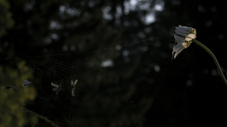 Similar image 22482437