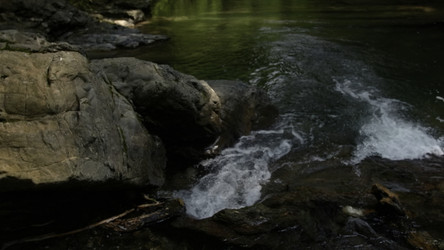 Similar image 22482719