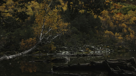 Similar image 22482720