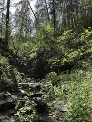 Similar image 22482841