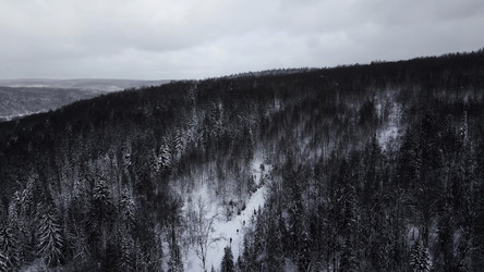 Similar image 22483096