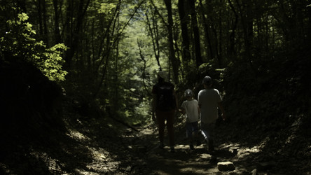 Similar image 22483125