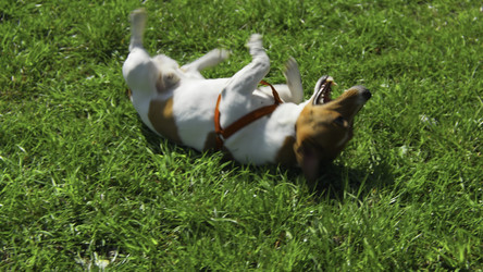 Similar image 22483286