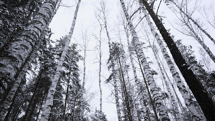 Similar image 22483422