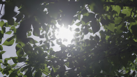 Similar image 22481271