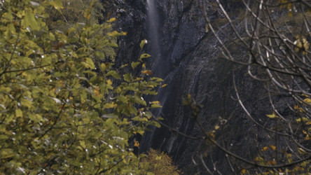 Similar image 22481570