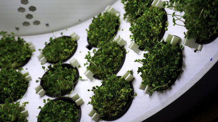 Similar image 22481720